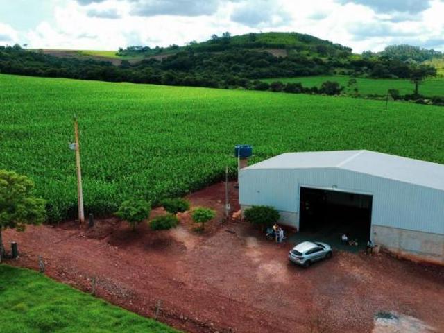Sítio e chácara venda em Francisco, São Pedro do Iguaçu