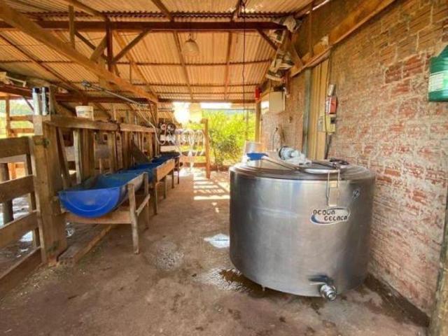 Sítio e chácara venda em Região Geográfica Imediata de Maringá, Munhoz de Melo