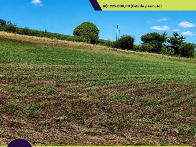 Sítio e chácara venda em Região Geográfica Imediata de Maringá, Marialva