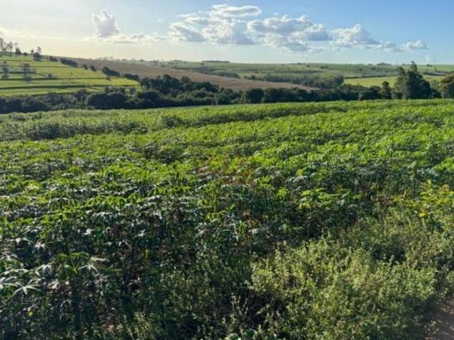 Sítio e chácara venda em Região Geográfica Imediata de Cianorte, Região Metropolitana de Umuarama