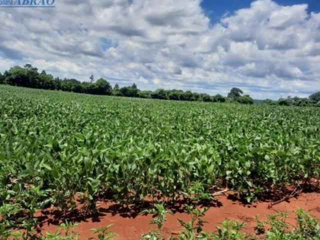 Sítio e chácara venda em Região Geográfica Imediata de Cascavel, Santa Tereza do Oeste