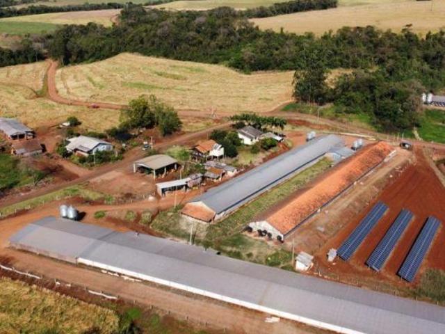 Sítio e chácara venda em Região Geográfica Imediata de Francisco Beltrão, Capanema