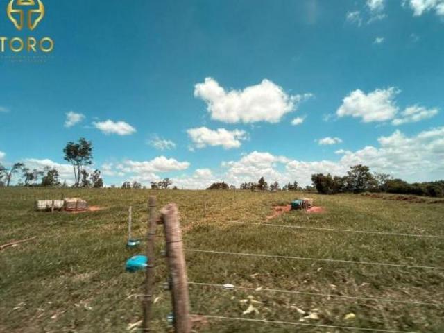 Sítio e chácara venda em Região Geográfica Imediata de Maringá, Nova Esperança