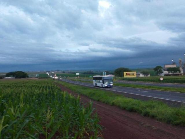 Sítio e chácara venda em Região Geográfica Imediata de Maringá, Floresta