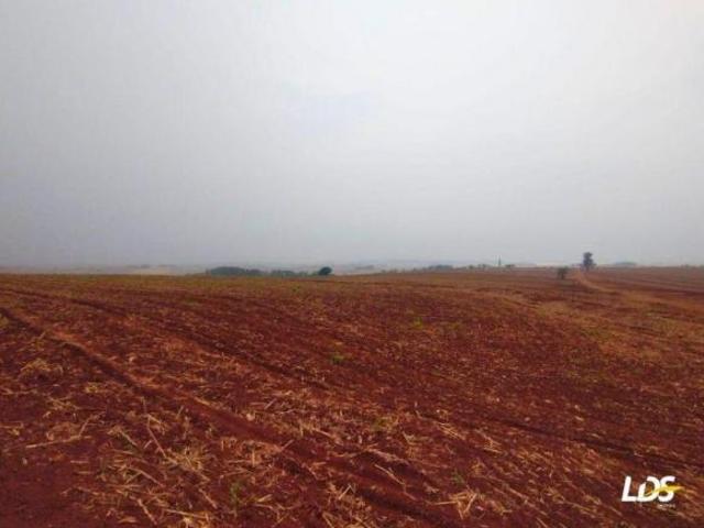 Sítio e chácara venda em Região Geográfica Imediata de Maringá, Floresta