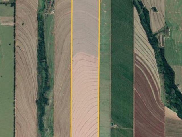 Sítio e chácara venda em Região Geográfica Imediata de Maringá, Nova Esperança