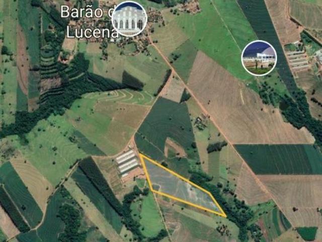 Sítio e chácara venda em Região Geográfica Imediata de Maringá, Nova Esperança