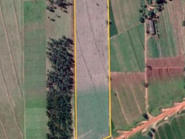 Sítio e chácara venda em Região Geográfica Imediata de Maringá, Nova Esperança