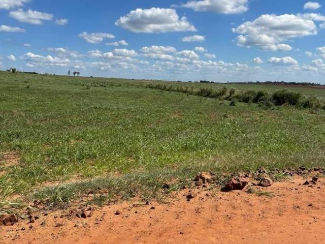 Sítio e chácara venda em Região Geográfica Imediata de Maringá, Presidente Castelo Branco