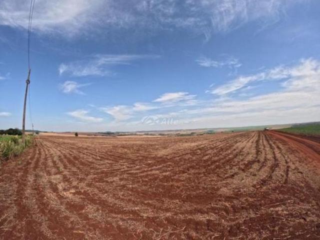 Sítio e chácara venda em Região Geográfica Imediata de Maringá, Paiçandu