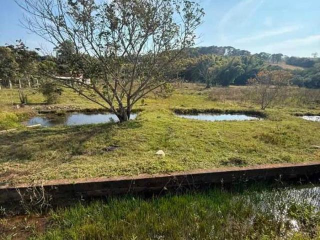 Sítio e chácara venda em Carmópolis de Minas, Região Geográfica Intermediária de Divinópolis