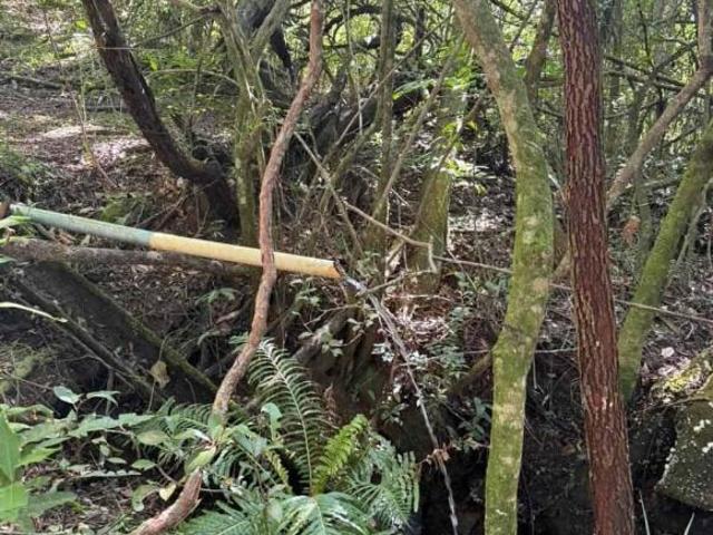 Sítio e chácara venda em Região Geográfica Imediata de Oliveira, Região Metropolitana de Belo Horizonte
