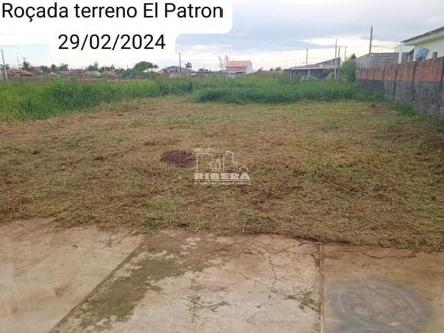 Terreno venda em Ilha Comprida