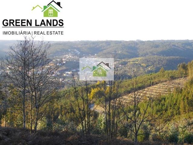 Terreno venda em Arganil, Anceriz