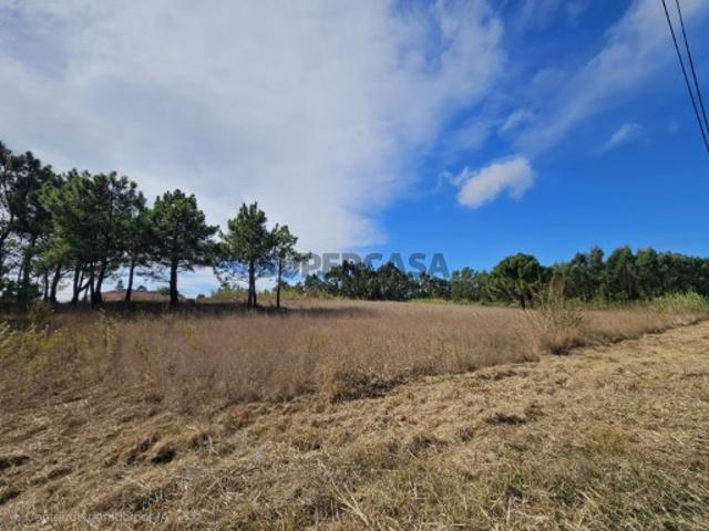 Terreno venda em Torres Vedras, Lisboa