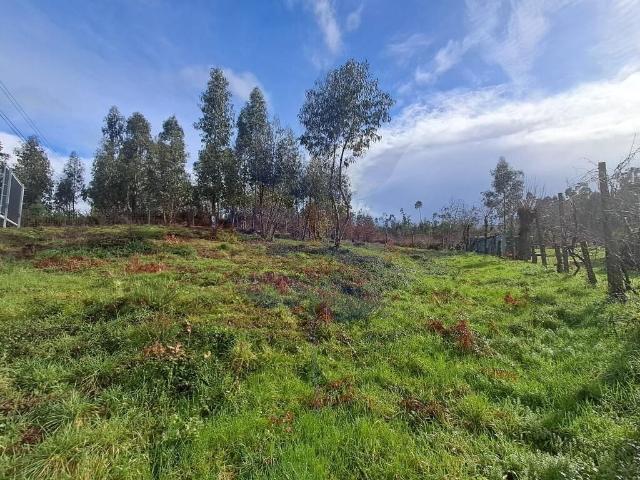 Terreno venda em Vila Nova De Gaia, Porto