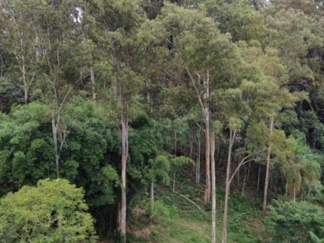 Terreno venda em Região Imediata de Ourinhos, Bernardino de Campos