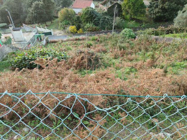 Terreno venda em Viana Do Castelo