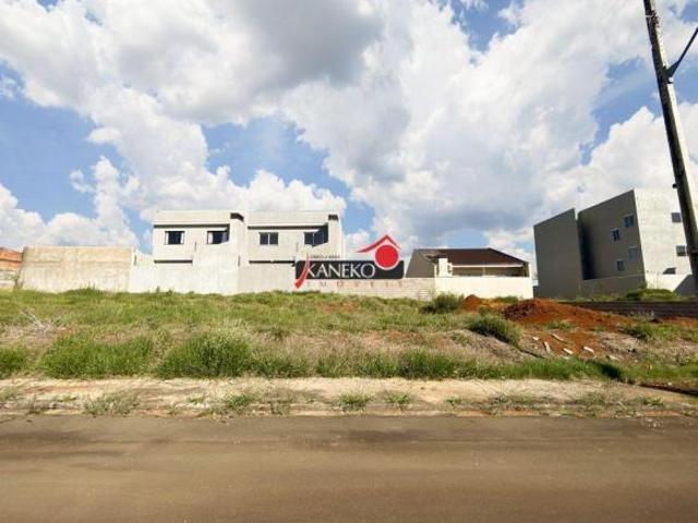 Terreno venda em Região Geográfica Imediata de Guarapuava, Guarapuava