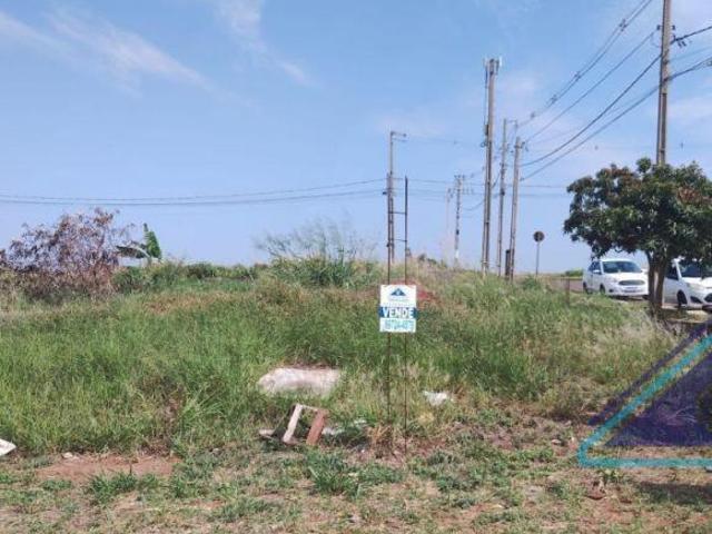 Terreno venda em Região Geográfica Imediata de Maringá, Iguaraçu