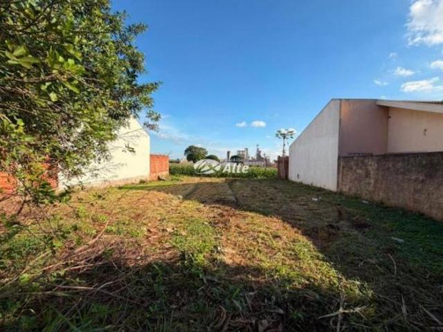 Terreno venda em Região Geográfica Imediata de Maringá, Floresta