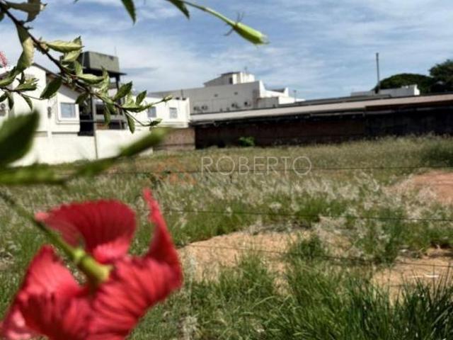 Terreno venda em Região Geográfica Imediata de Paranavaí, Paranavaí