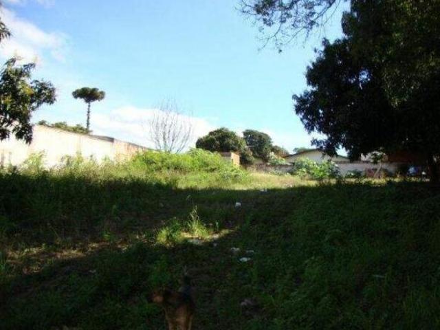 Terreno venda em Centro, Toledo