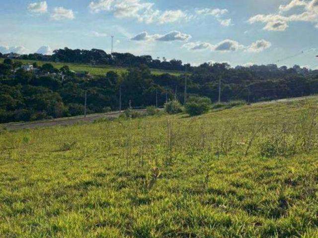 Terreno venda em Região Geográfica Imediata de Toledo, Toledo