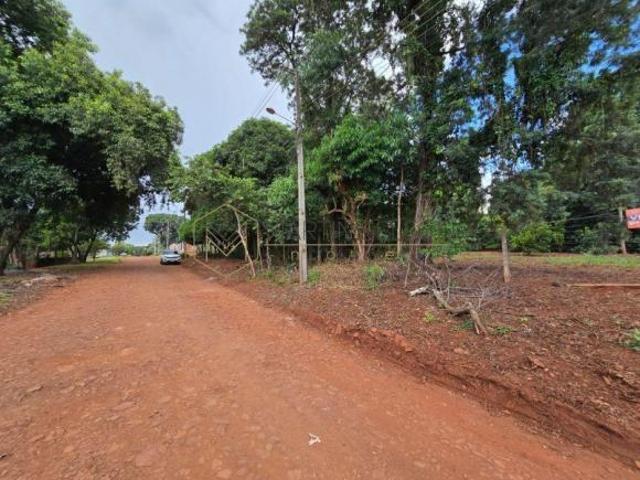 Terreno venda em Região Geográfica Imediata de Maringá, Sarandi