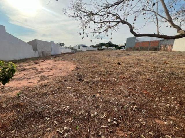 Terreno venda em Região Geográfica Imediata de Paranavaí, Paranavaí