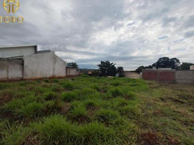 Terreno venda em Região Geográfica Imediata de Maringá, Sarandi