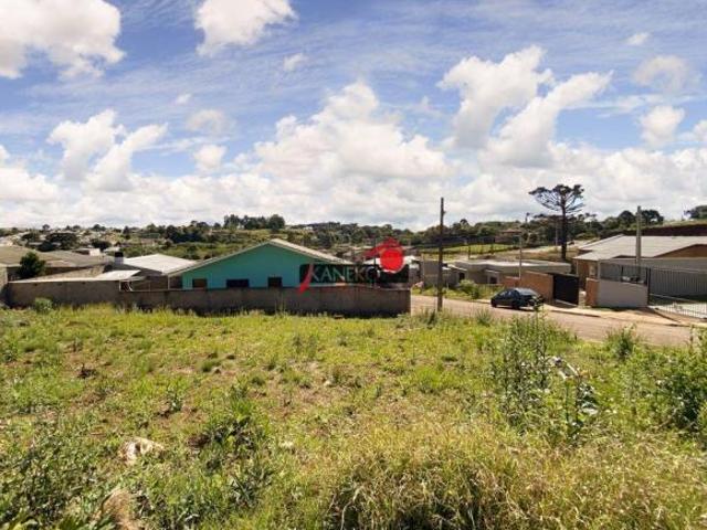 Terreno venda em Região Geográfica Imediata de Guarapuava, Guarapuava
