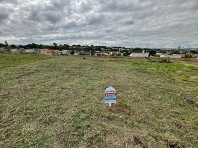 Terreno venda em Umuarama, Região Geográfica Intermediária de Maringá