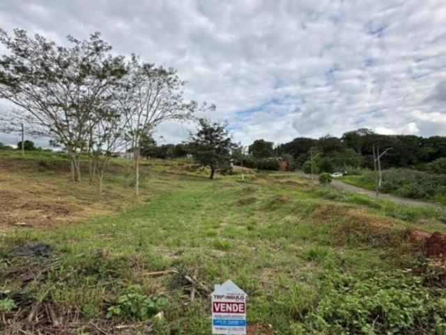 Terreno venda em Umuarama, Região Geográfica Intermediária de Maringá
