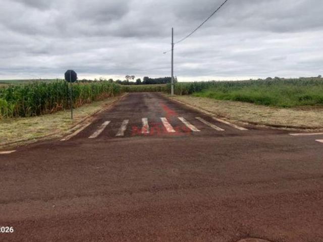 Terreno venda em Região Geográfica Imediata de Maringá, Iguaraçu