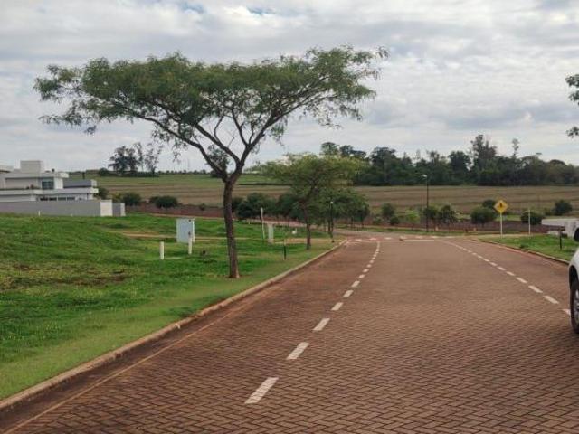 Terreno venda em Região Geográfica Imediata de Maringá, Maringá