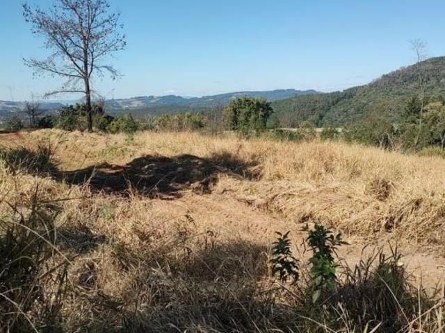 Terreno venda em Região Geográfica Imediata de Apucarana, Mauá da Serra
