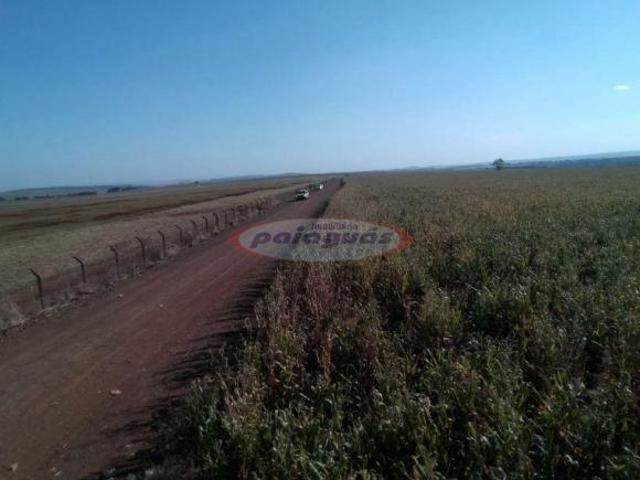 Terreno venda em Região Geográfica Imediata de Maringá, Maringá