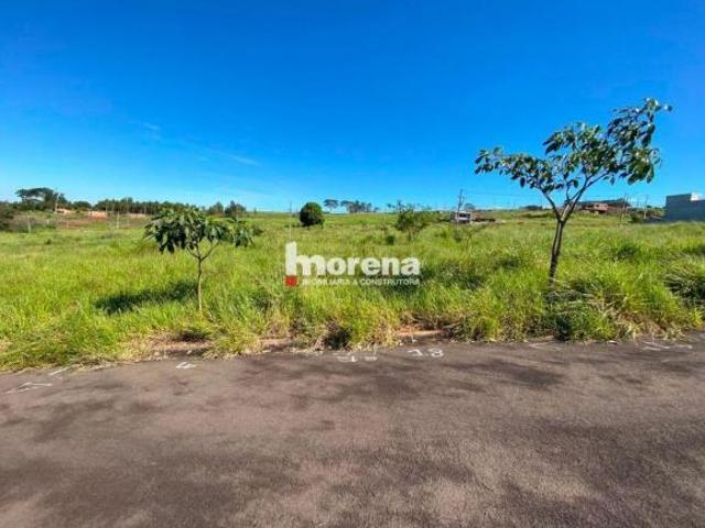 Terreno venda em Região Geográfica Imediata de Umuarama, Região Metropolitana de Umuarama