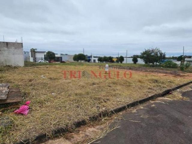 Terreno venda em Região Geográfica Imediata de Umuarama, Região Metropolitana de Umuarama