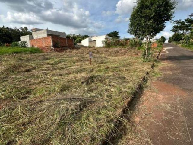 Terreno venda em Região Geográfica Imediata de Umuarama, Região Metropolitana de Umuarama