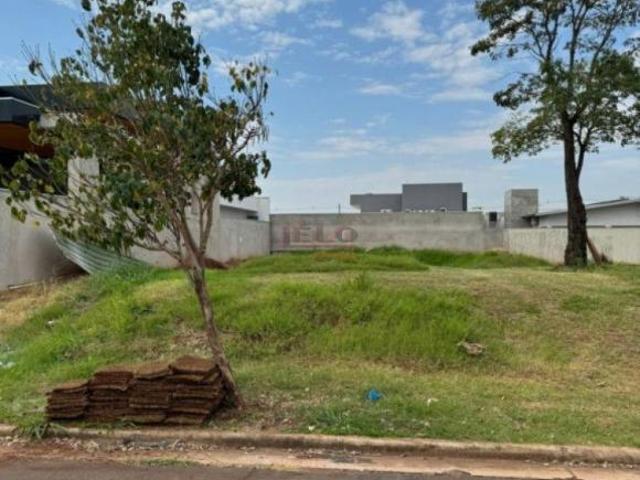Terreno venda em Região Geográfica Imediata de Loanda, Porto Rico