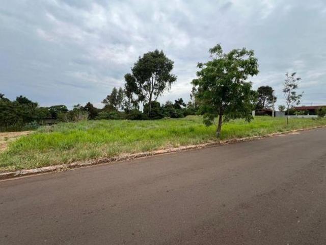 Terreno venda em Região Geográfica Imediata de Paranavaí, Paranavaí