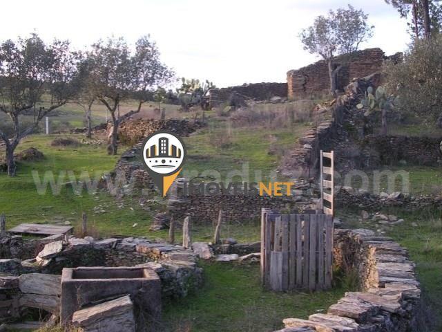 Terreno venda em Benquerenças, Castelo Branco