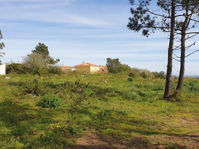 Terreno venda em Olho Marinho, Óbidos