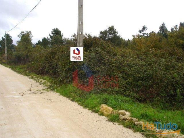 Terreno venda em Porto De Mós, Leiria