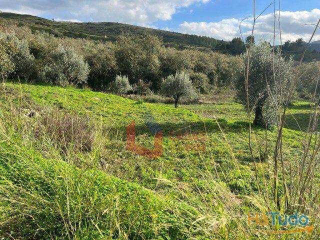 Terreno venda em Porto De Mós, Leiria