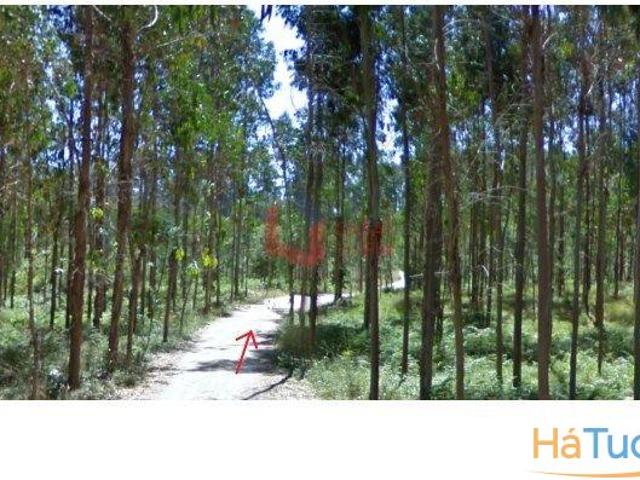 Terreno venda em Batalha, Leiria