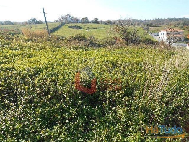Terreno venda em Batalha, Leiria