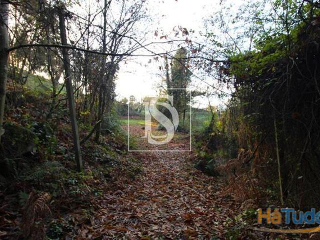 Terreno venda em Amarante, Porto
